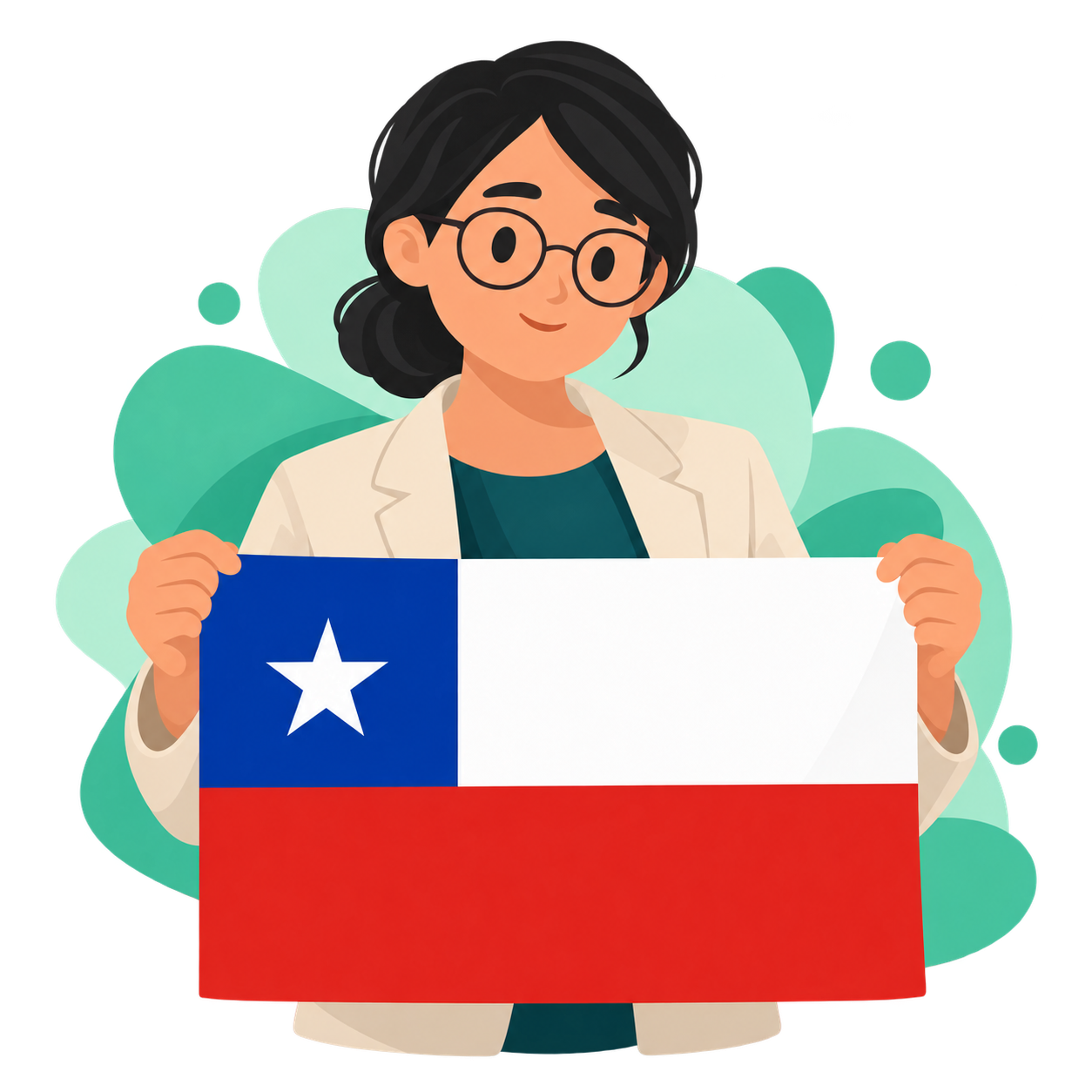 Una orientadora con la bandera de Chile acompaña la explicación legal.